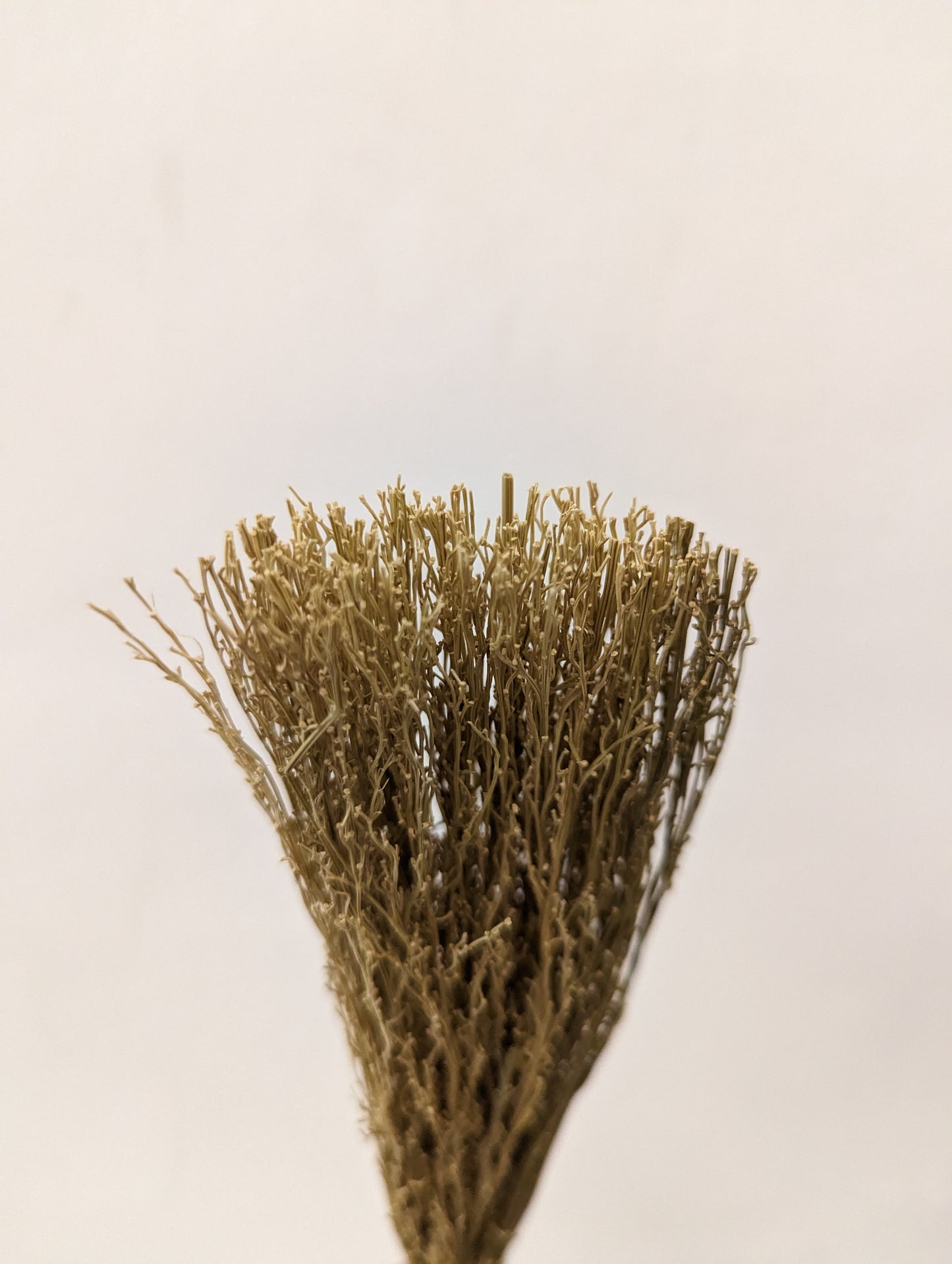 Hakeme Brush