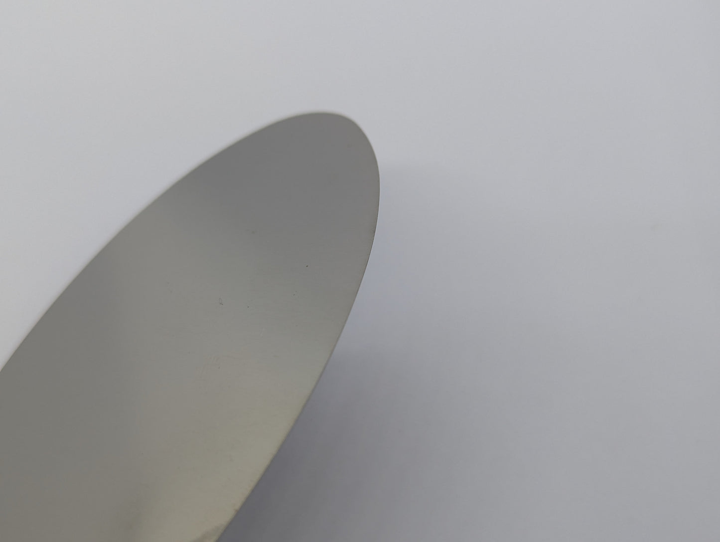 Stainless Steel Kidney